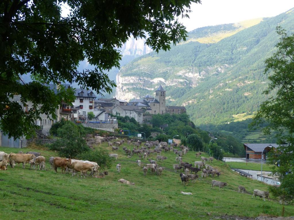 Hotel Bellavista Ordesa 托尔拉 外观 照片